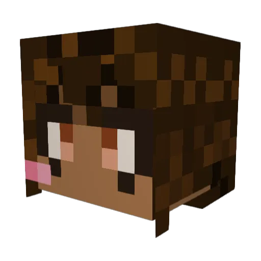 Phancakee Minecraft avatar head, 3D render