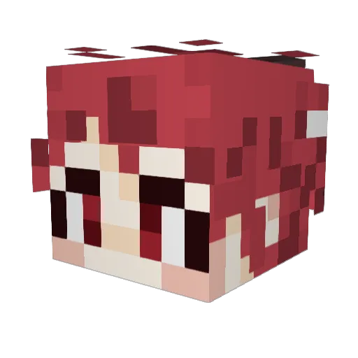 Phander_ Minecraft avatar head, 3D render