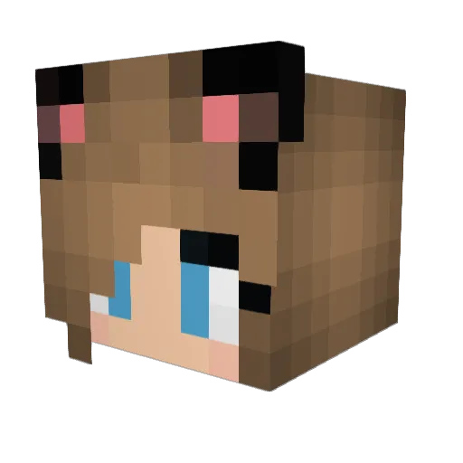 Phanou49 Minecraft avatar head, 3D render