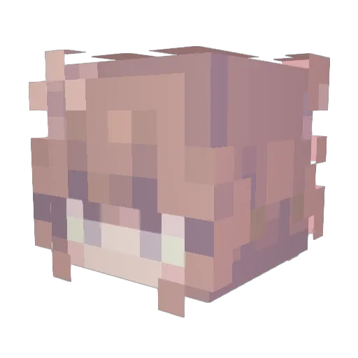 Phanthea Minecraft avatar head, 3D render
