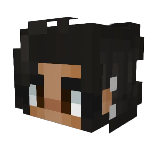 PhantomBookworm Minecraft avatar head, 3D render