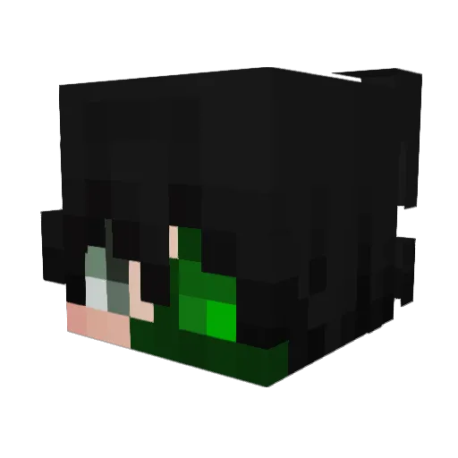 PhantomBridger Minecraft avatar head, 3D render