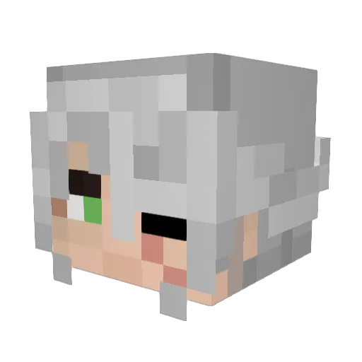 PhantomFool7 Minecraft avatar head, 3D render