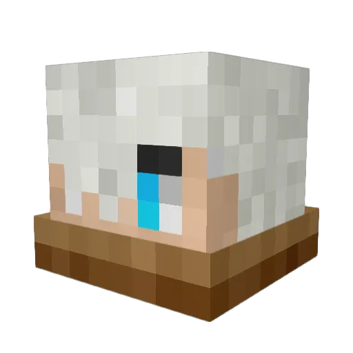 PhantomSlayer000 Minecraft avatar head, 3D render