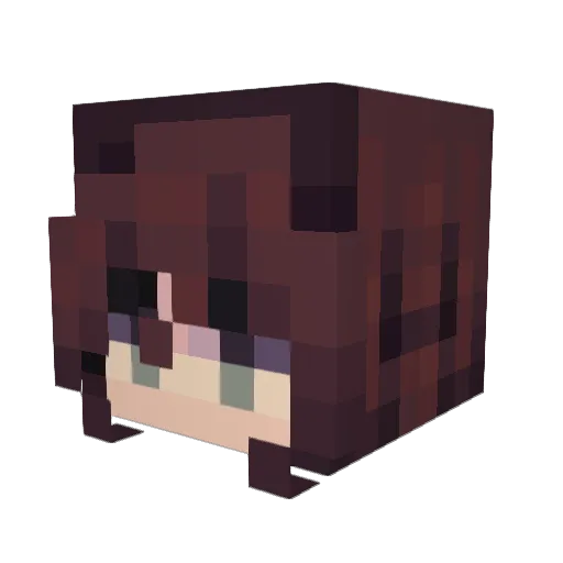PhantomTim06 Minecraft avatar head, 3D render