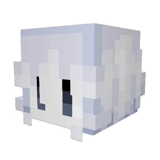 Phantom__Power Minecraft avatar head, 3D render