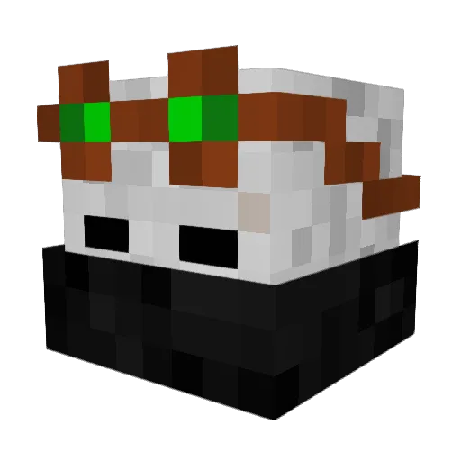 Phantom_viper15 Minecraft avatar head, 3D render