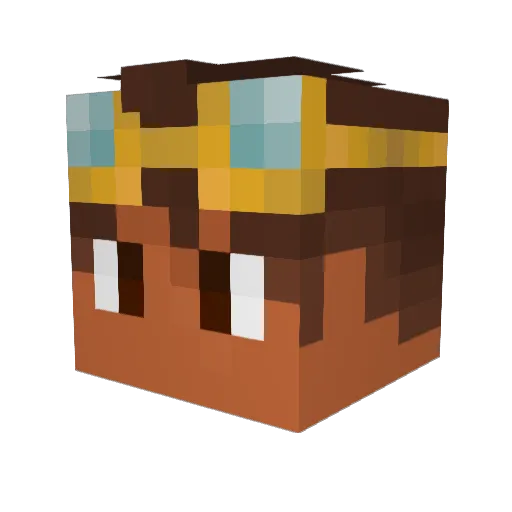 Phantomsloks Minecraft avatar head, 3D render