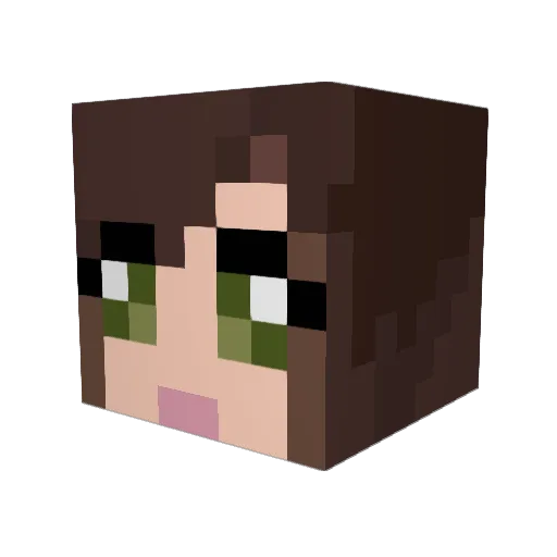 Pharmacy Minecraft avatar head, 3D render
