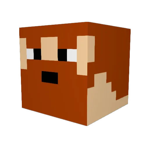 Pharrous Minecraft avatar head, 3D render
