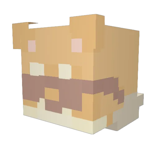 Phasic Minecraft avatar head, 3D render