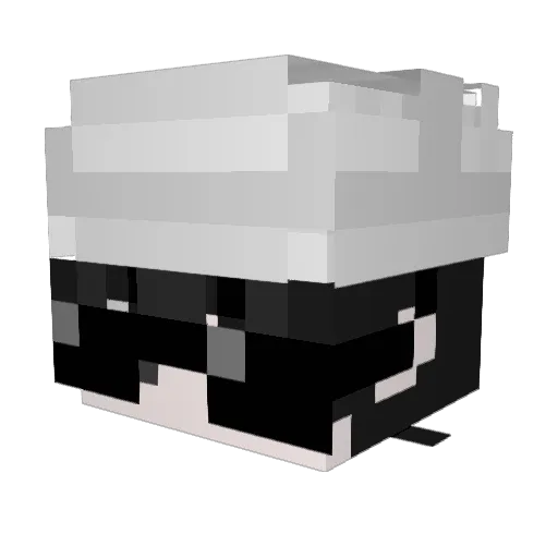 Phatbooskii Minecraft avatar head, 3D render