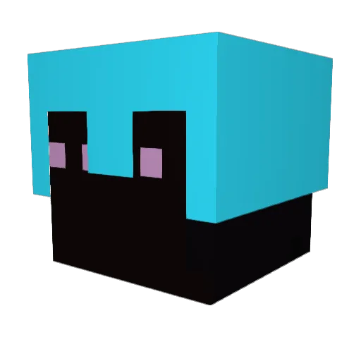 PhattyDonkey Minecraft avatar head, 3D render