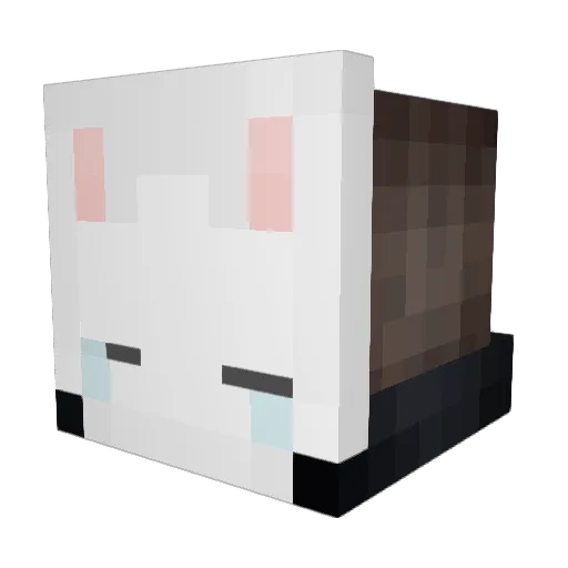 Phaz_ Minecraft avatar head, 3D render