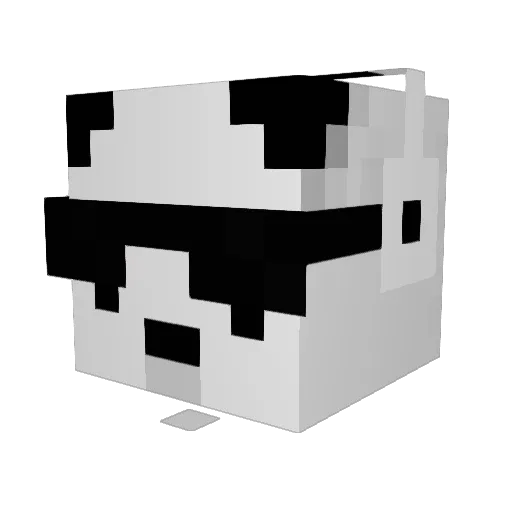Phazin123 Minecraft avatar head, 3D render