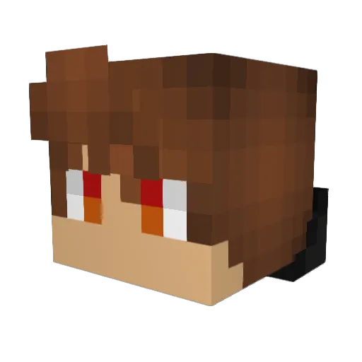 Phe00 Minecraft avatar head, 3D render