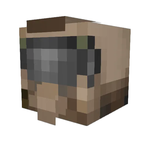 Phebus666 Minecraft avatar head, 3D render