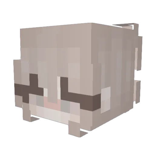 Pheely Minecraft avatar head, 3D render