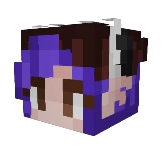 Pheeni_ Minecraft avatar head, 3D render