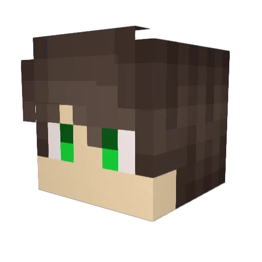 Phellypie10_PK Minecraft avatar head, 3D render