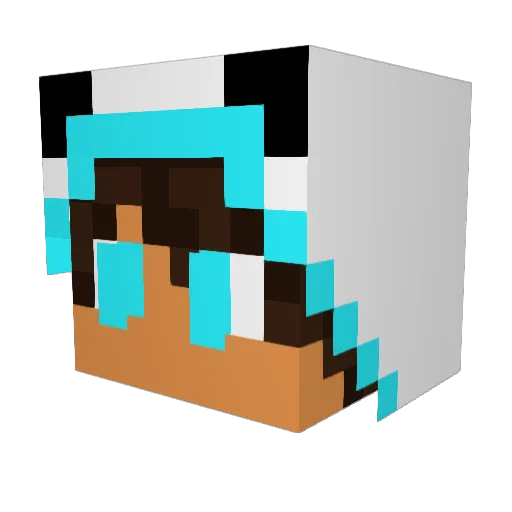 Phenominalguy Minecraft avatar head, 3D render