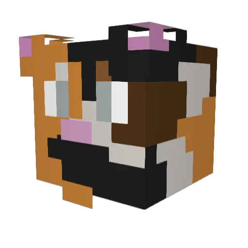 Pheonix_Trap76 Minecraft avatar head, 3D render
