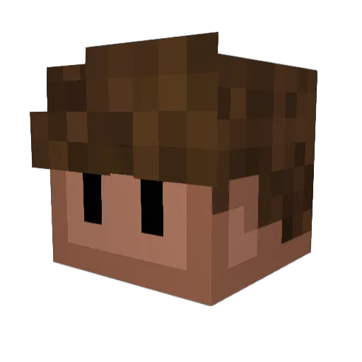 PhiPan Minecraft avatar head, 3D render