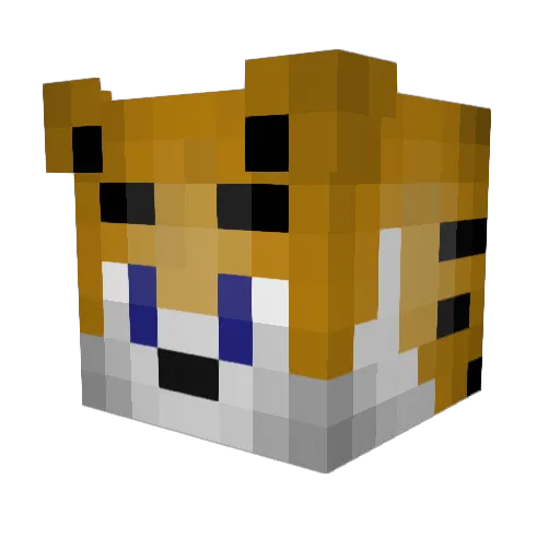Phibsy_ Minecraft avatar head, 3D render