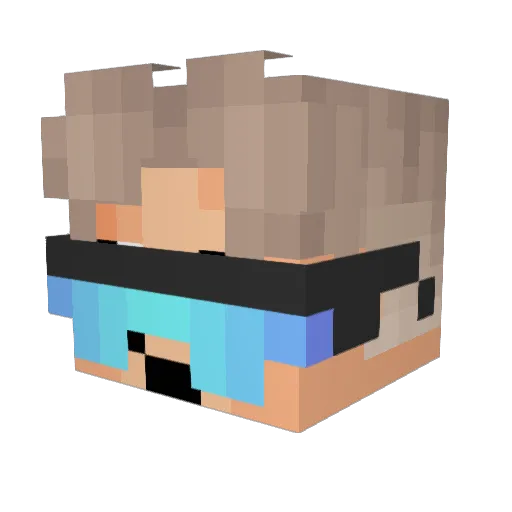 Phibus14 Minecraft avatar head, 3D render