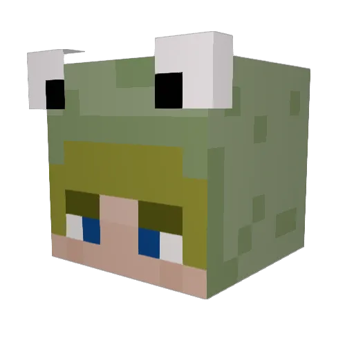 Phidipedes Minecraft avatar head, 3D render