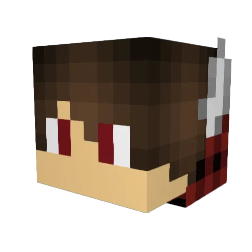 Phienix0629 Minecraft avatar head, 3D render