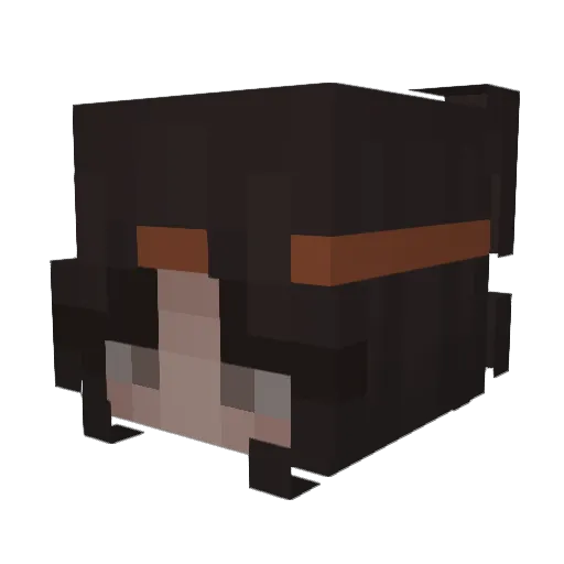 Phiiiiie Minecraft avatar head, 3D render