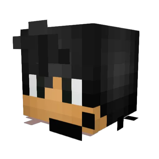 Phil1410 Minecraft avatar head, 3D render