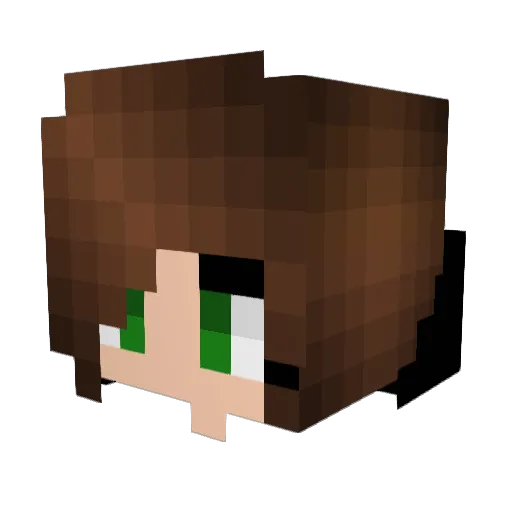 Phil1ip16 Minecraft avatar head, 3D render