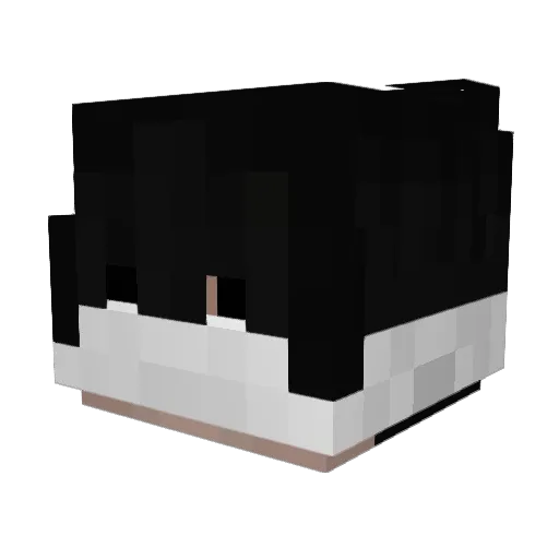 PhilSwitch Minecraft avatar head, 3D render