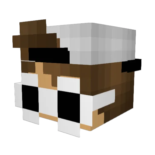 Phil_Mcrackin Minecraft avatar head, 3D render