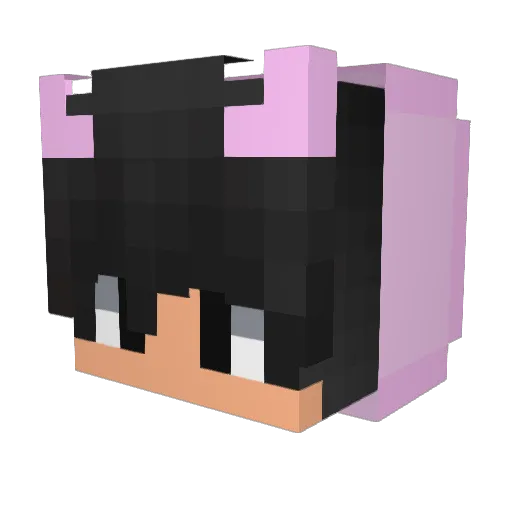Phila Minecraft avatar head, 3D render