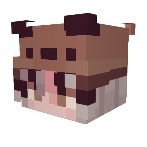 Philinn Minecraft avatar head, 3D render