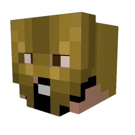 Philip708 Minecraft avatar head, 3D render