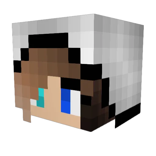 Philipp108 Minecraft avatar head, 3D render