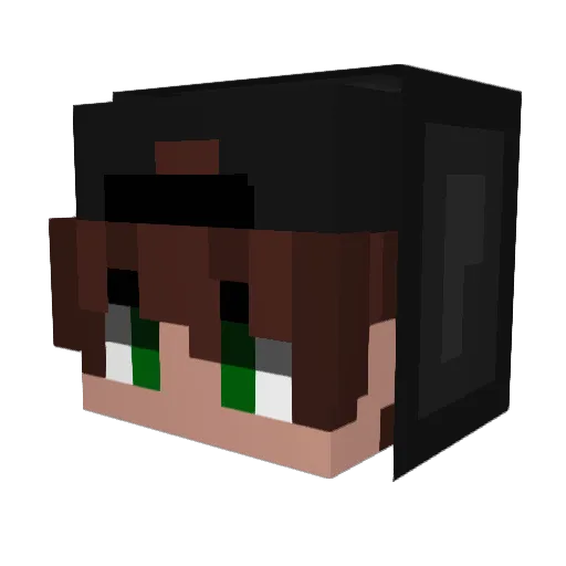 PhilippxD1 Minecraft avatar head, 3D render