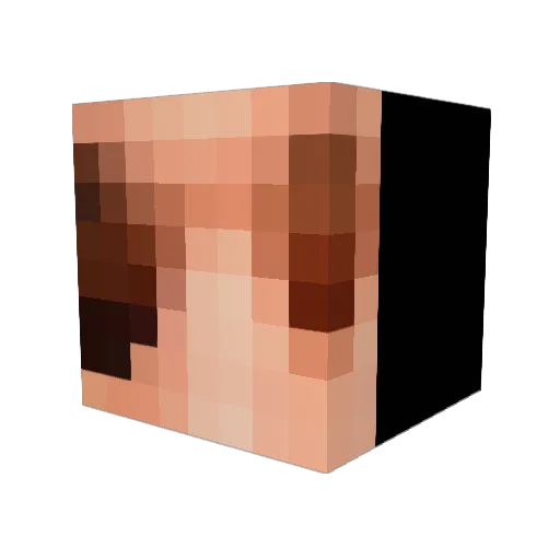 PhilipsAirFryer Minecraft avatar head, 3D render