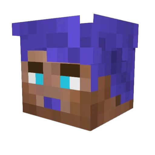 Phillip31415 Minecraft avatar head, 3D render
