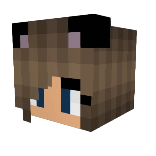 PhillipTheFox523 Minecraft avatar head, 3D render