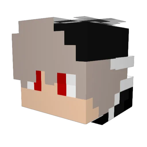 Phillip_Olsen Minecraft avatar head, 3D render