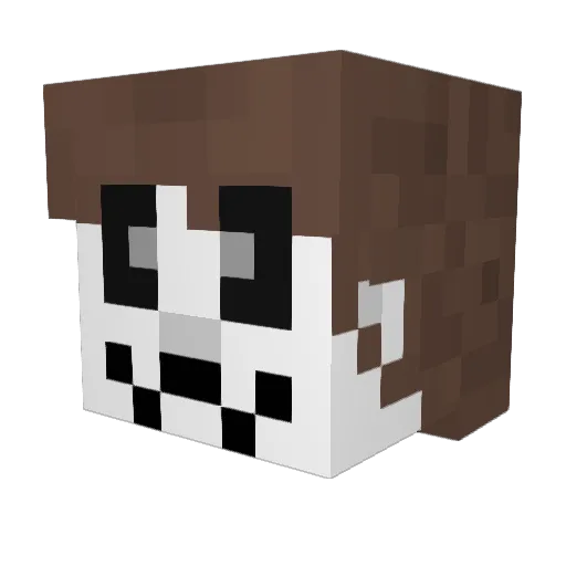 Phillippe_Arceus Minecraft avatar head, 3D render