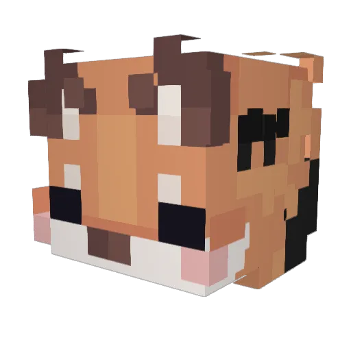 PhillyBee Minecraft avatar head, 3D render