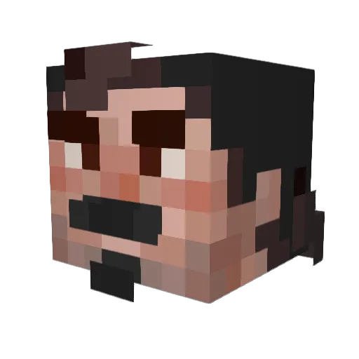 PhillyFly Minecraft avatar head, 3D render