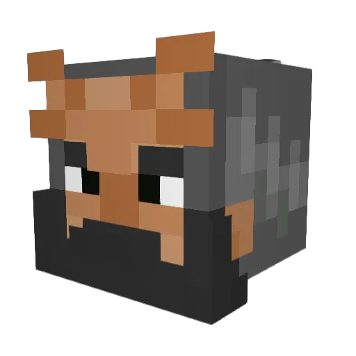 Philo_DM Minecraft avatar head, 3D render
