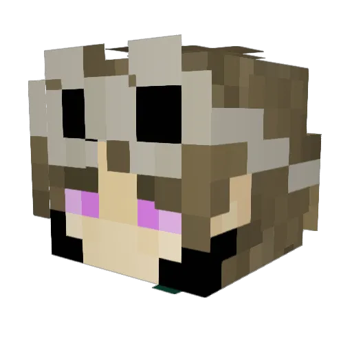 PhiltheHippo Minecraft avatar head, 3D render